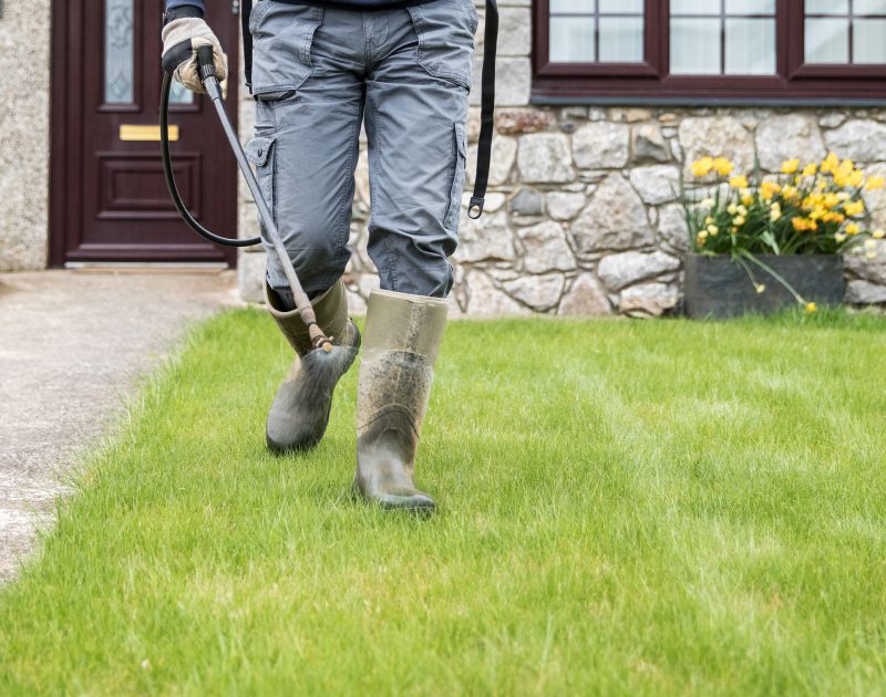 Lawn Treatment Service